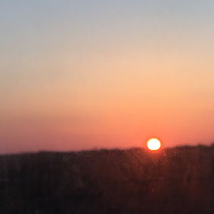 Meet your Posher, Evelyn and